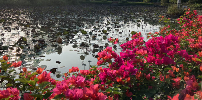 悦びの記＃36（2025年12月7日）